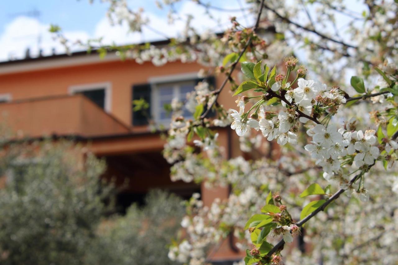 Villa Arancia Quiet, Central, Parking And Air Conditioning Levanto Buitenkant foto