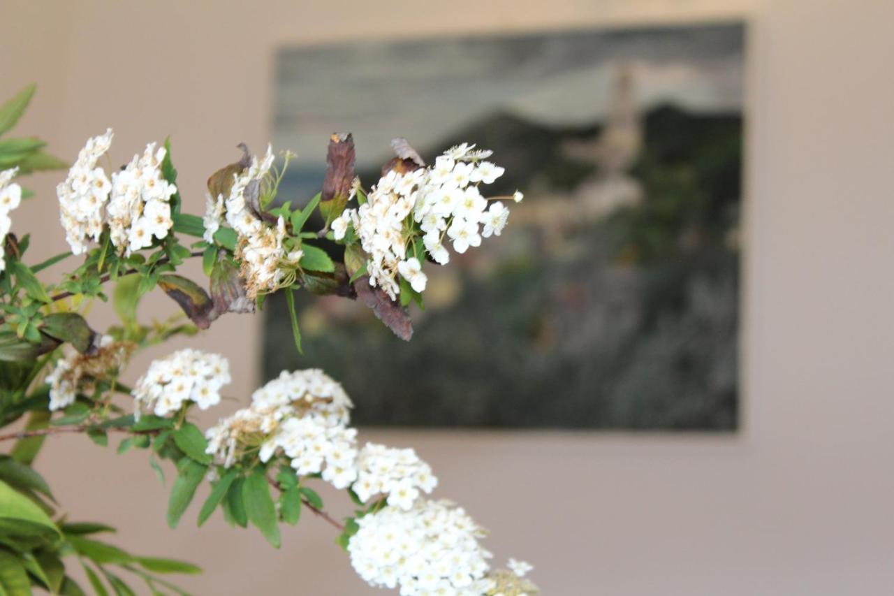 Villa Arancia Quiet, Central, Parking And Air Conditioning Levanto Buitenkant foto