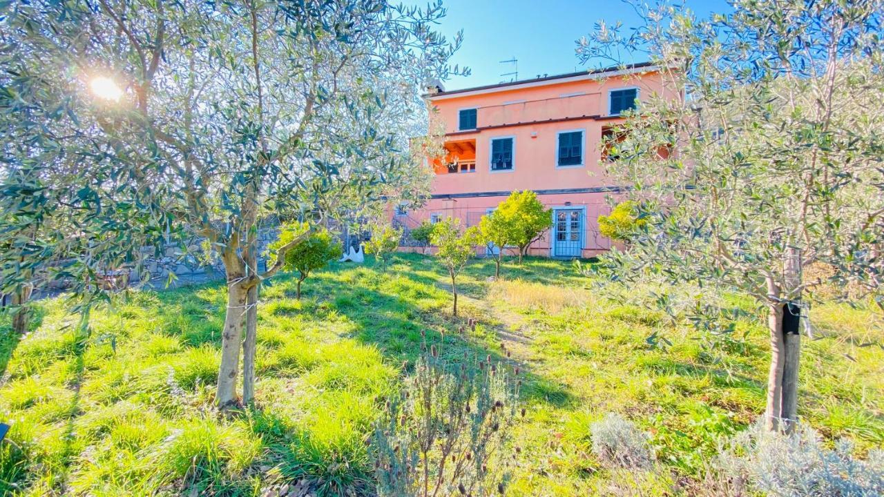 Villa Arancia Quiet, Central, Parking And Air Conditioning Levanto Buitenkant foto