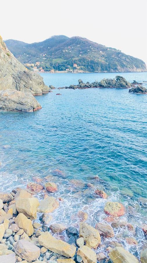Villa Arancia Quiet, Central, Parking And Air Conditioning Levanto Buitenkant foto